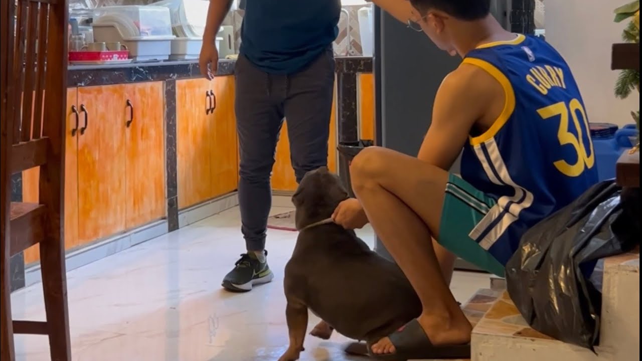 Isa sa delikadong aso na student namin