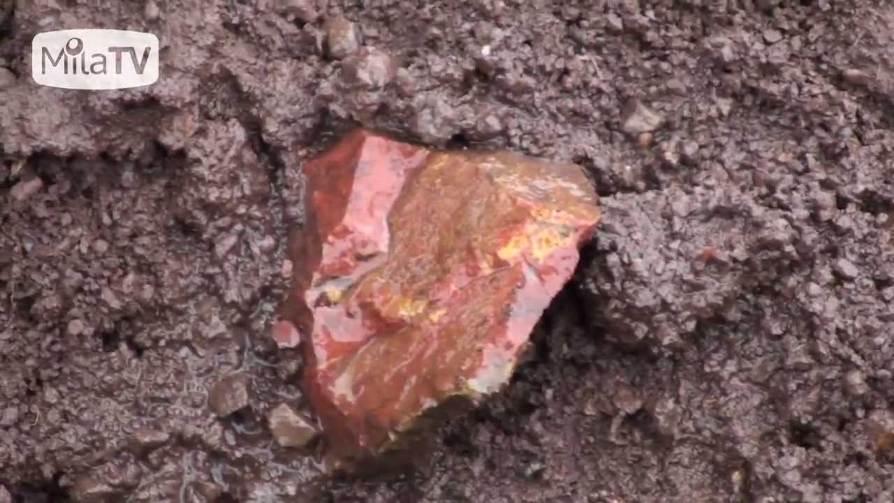 Železité křemeny z Tění