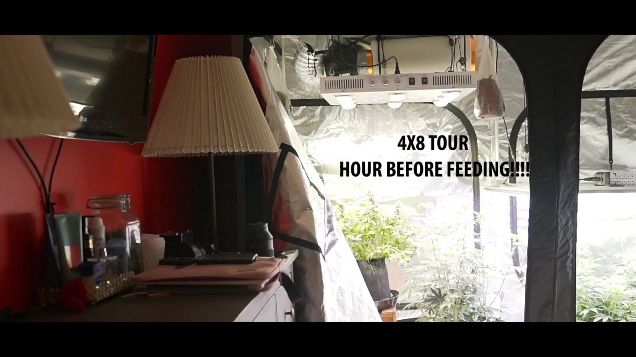 4x8 Grow Tent tour with Optic8+ and Spydr 2x