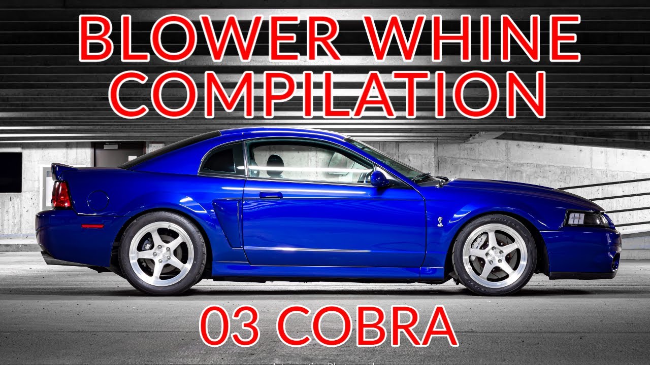 Supercharger Whine Compilation | 03 SVT Cobra - Eaton & Whipple