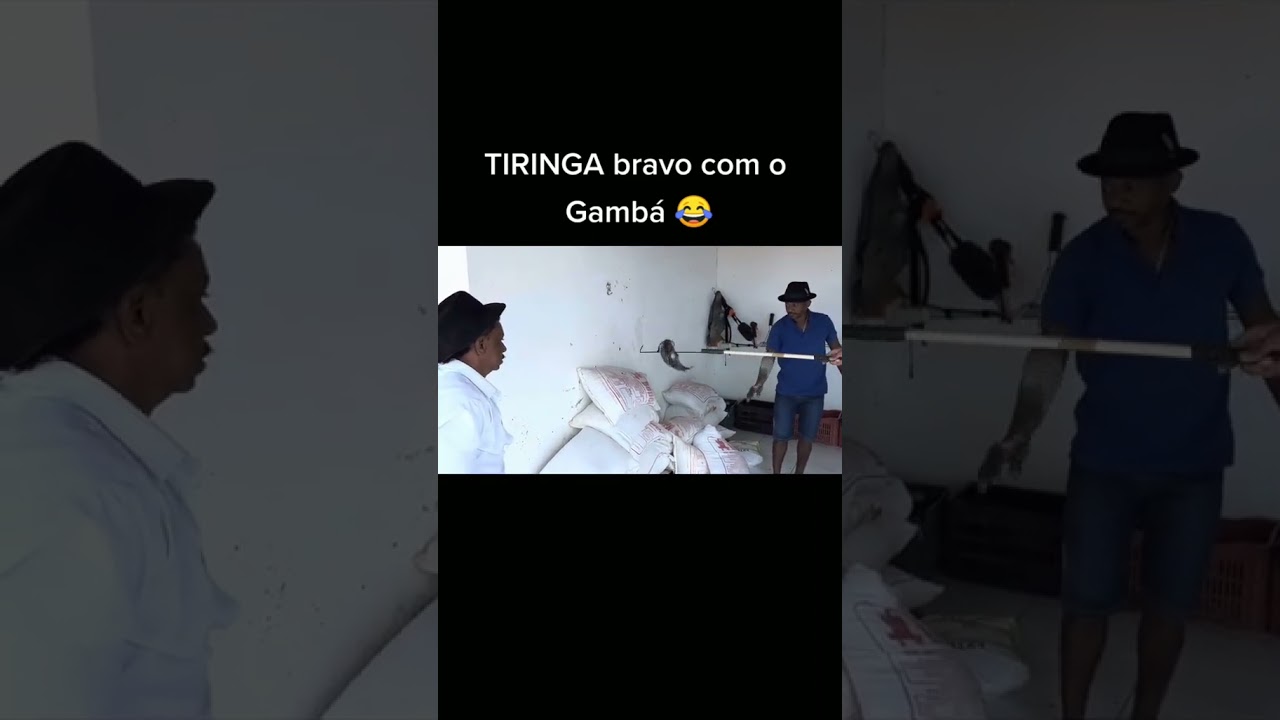 tiringa bravo com o gambá 🦨🦨🦨