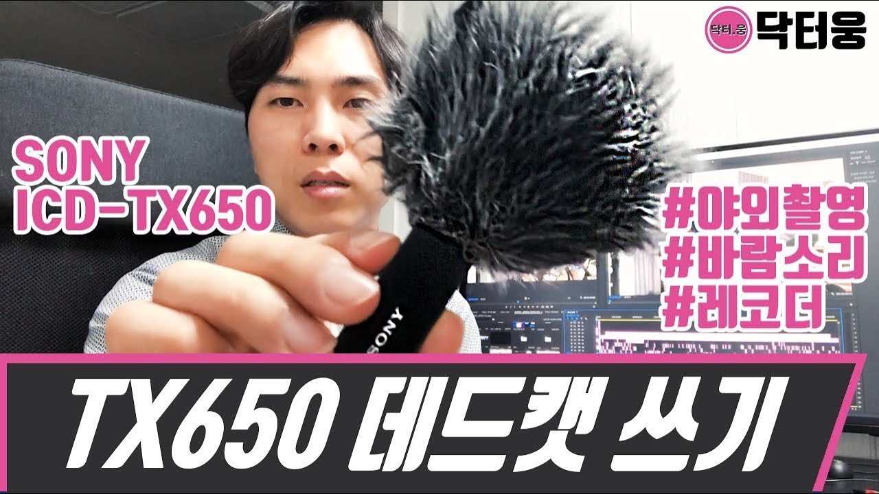 소니 ICD-TX650에 데드캣 사용하기 리뷰! SONY 레코더 소니마이크 윈드스크린
