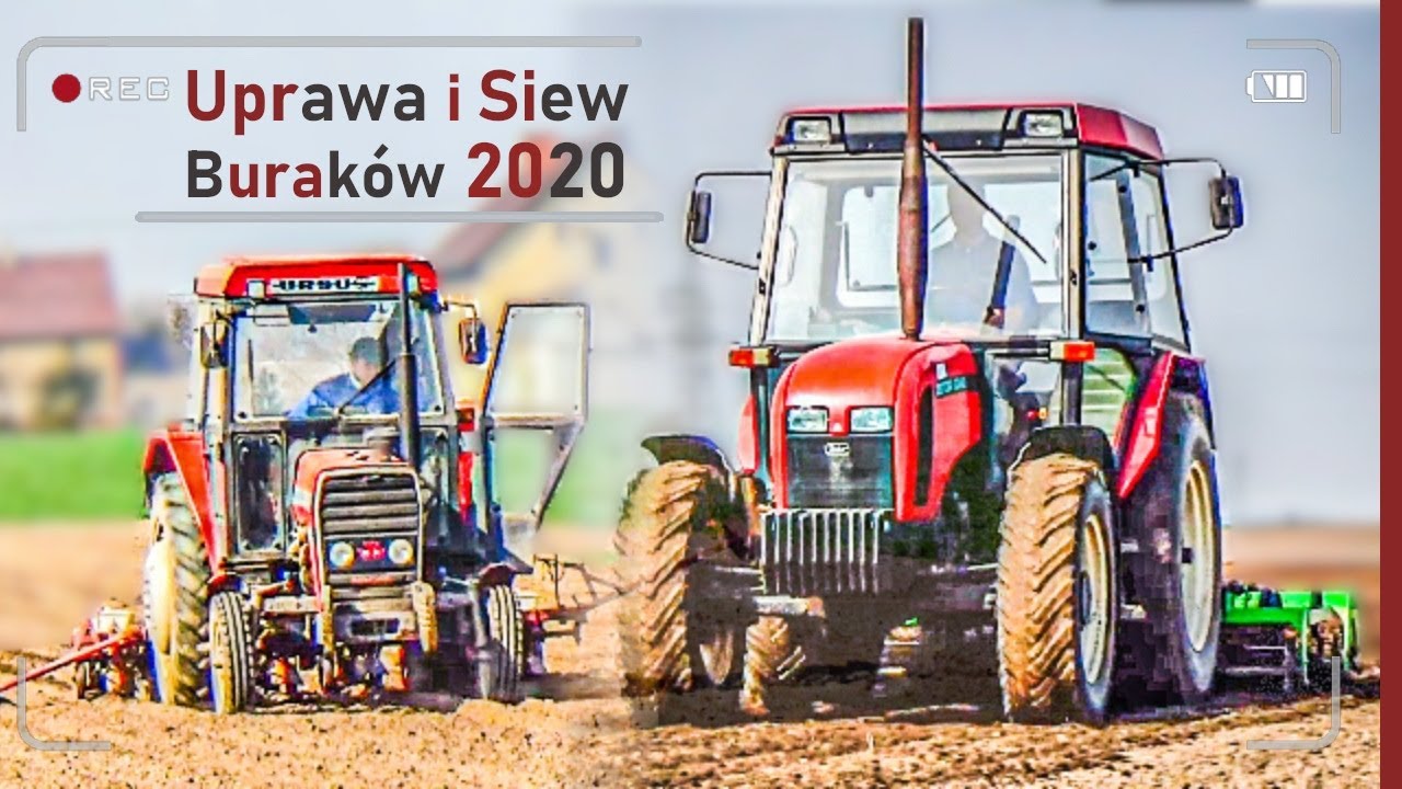 Uprawa i Siew Buraków 2020 | Zetor 6340 | Massey Ferguson 255