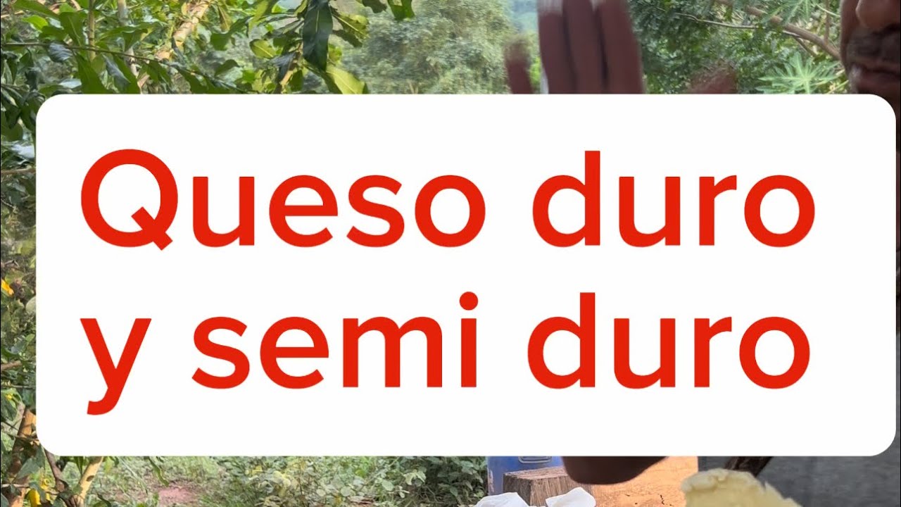 Como se hace el queso duro y el queso semi duro