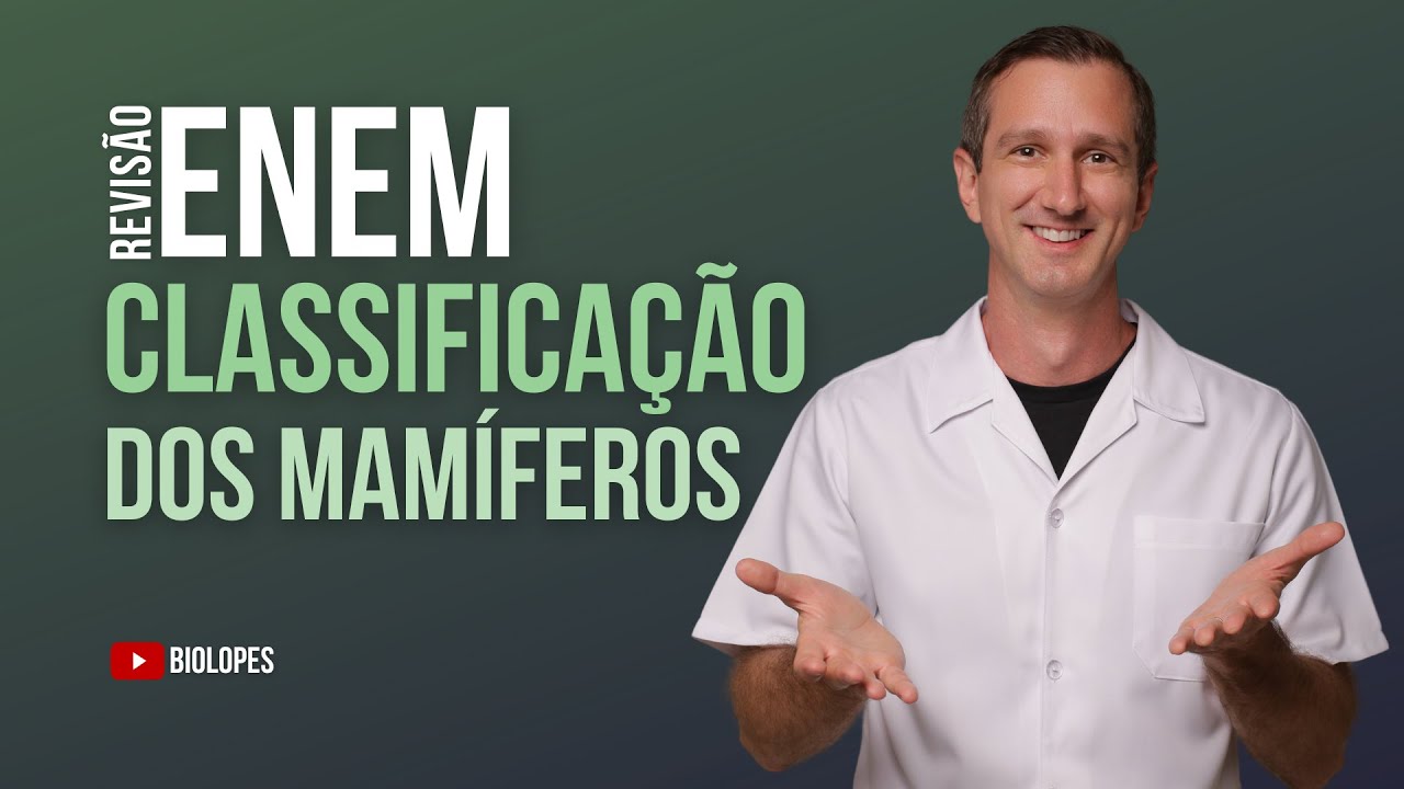 ENEM 2024 - CLASSIFICAÇÃO DOS MAMÍFEROS, CLADOGRAMA, REPRODUÇÃO E LACTAÇÃO - BIOLOPES