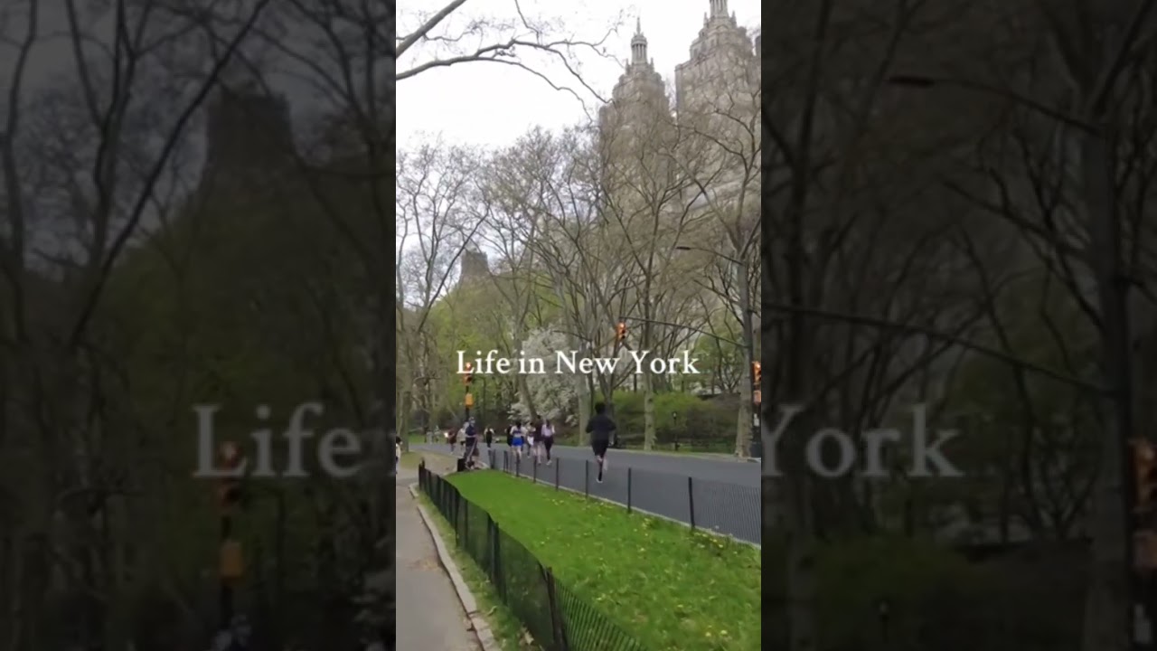 ıt looks like a movie #america #americadream #americavibes #usa #usadream #usavibes #newyork