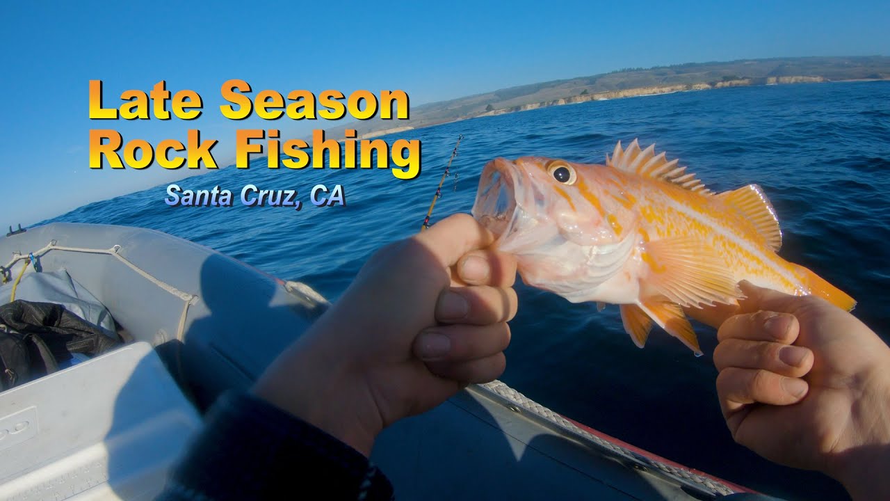 Late Season Rock Fishing - Santa Cruz 12-29-20