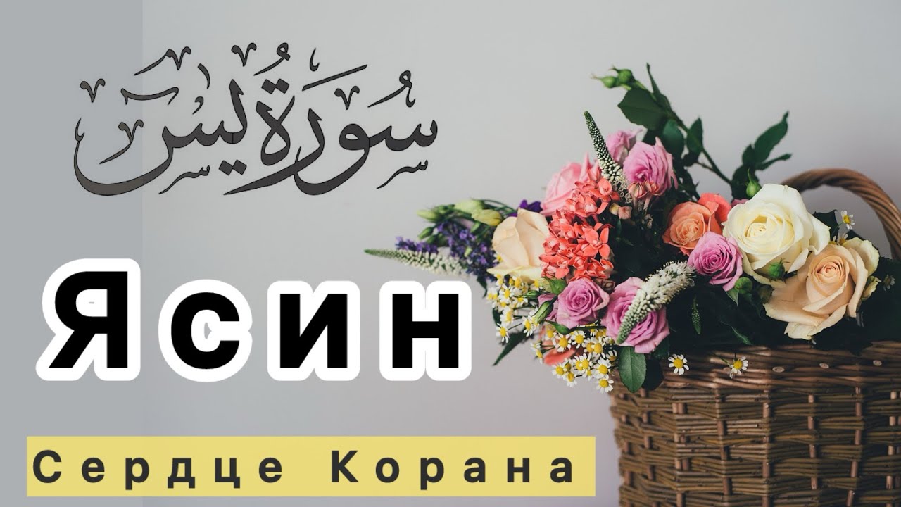 Ясин (СЕРДЦЕ КОРАНА) СЛУШАЙТЕ КАЖДЫЙ ДЕНЬ.