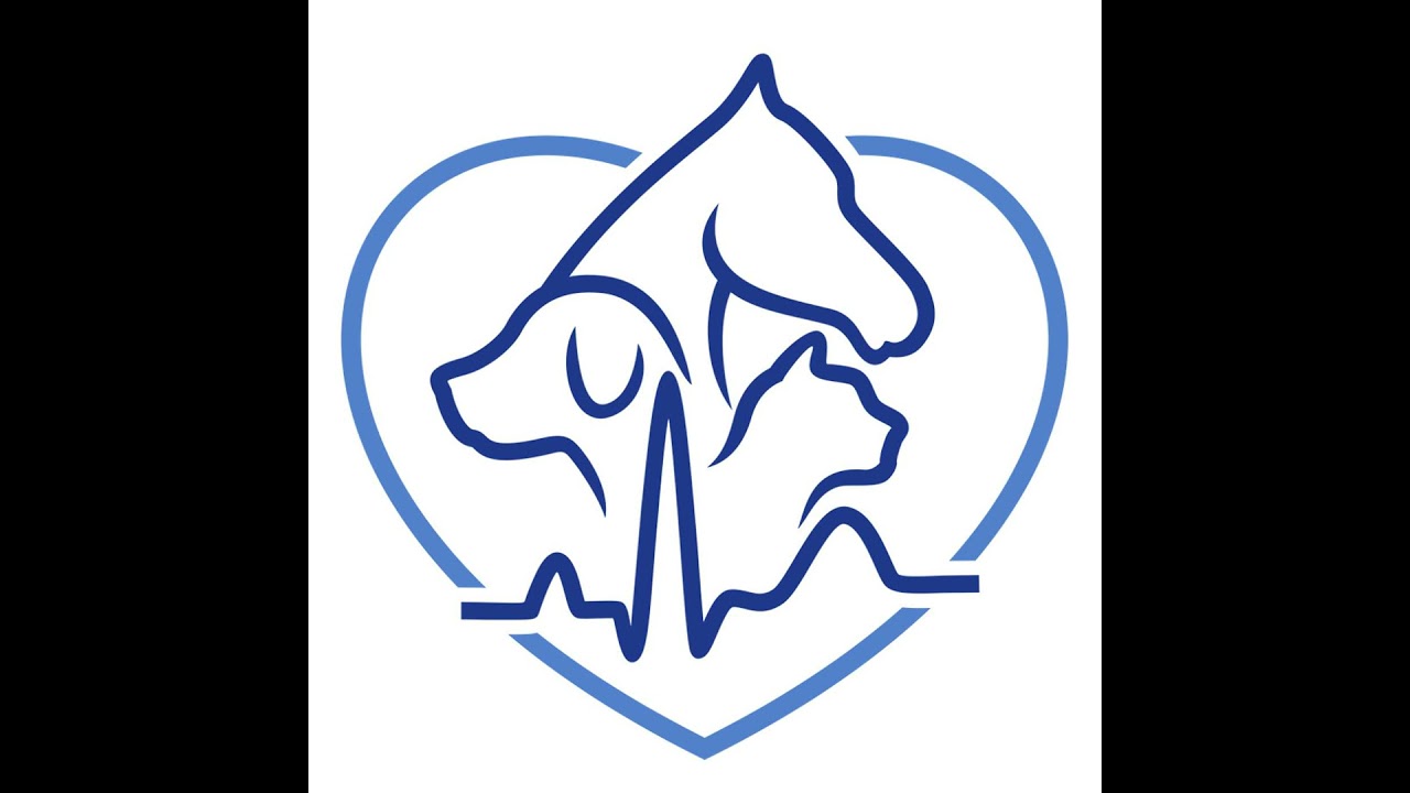 2: Feline cardiomyopathy pt2 - echocardiographic findings