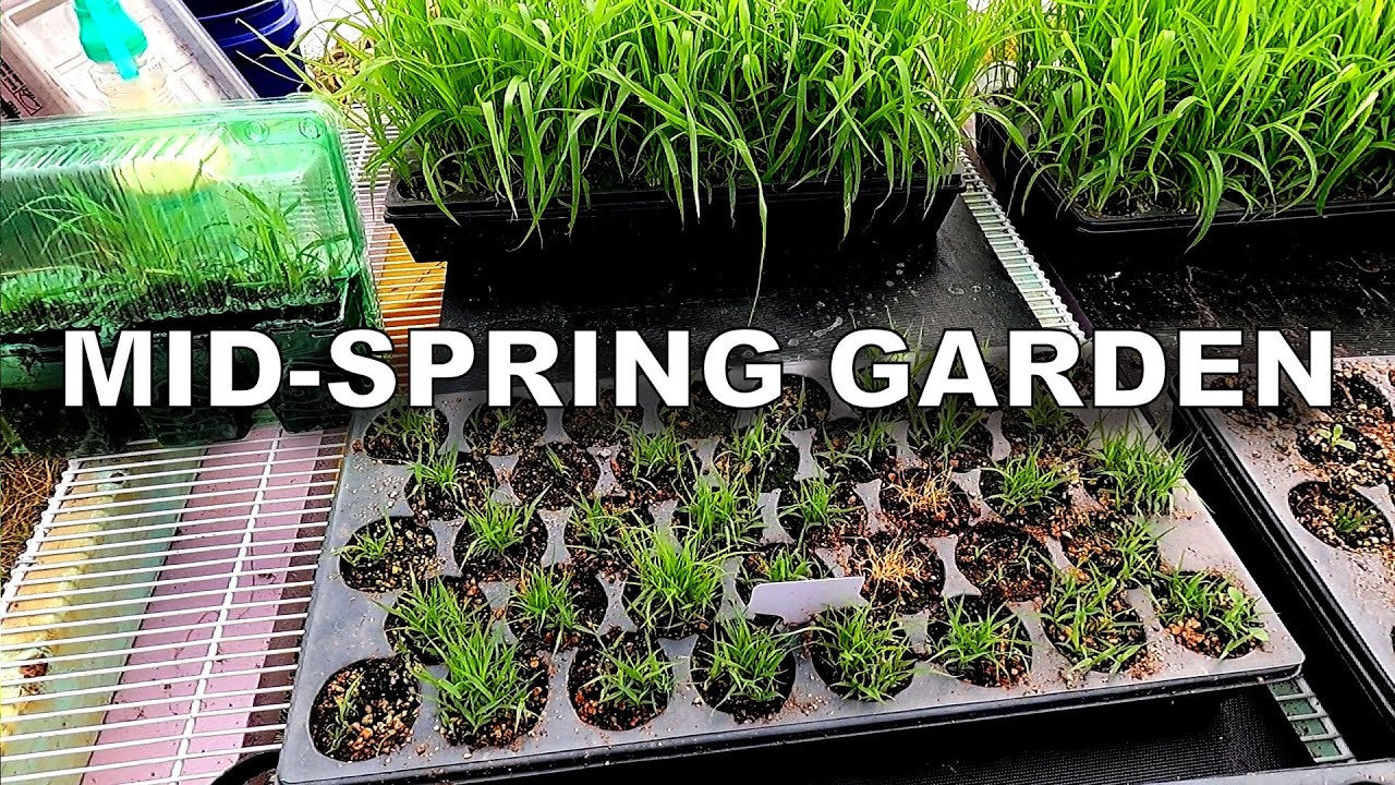 A Quick Mid-Spring Look at the Prairie Garden and Greenhouse