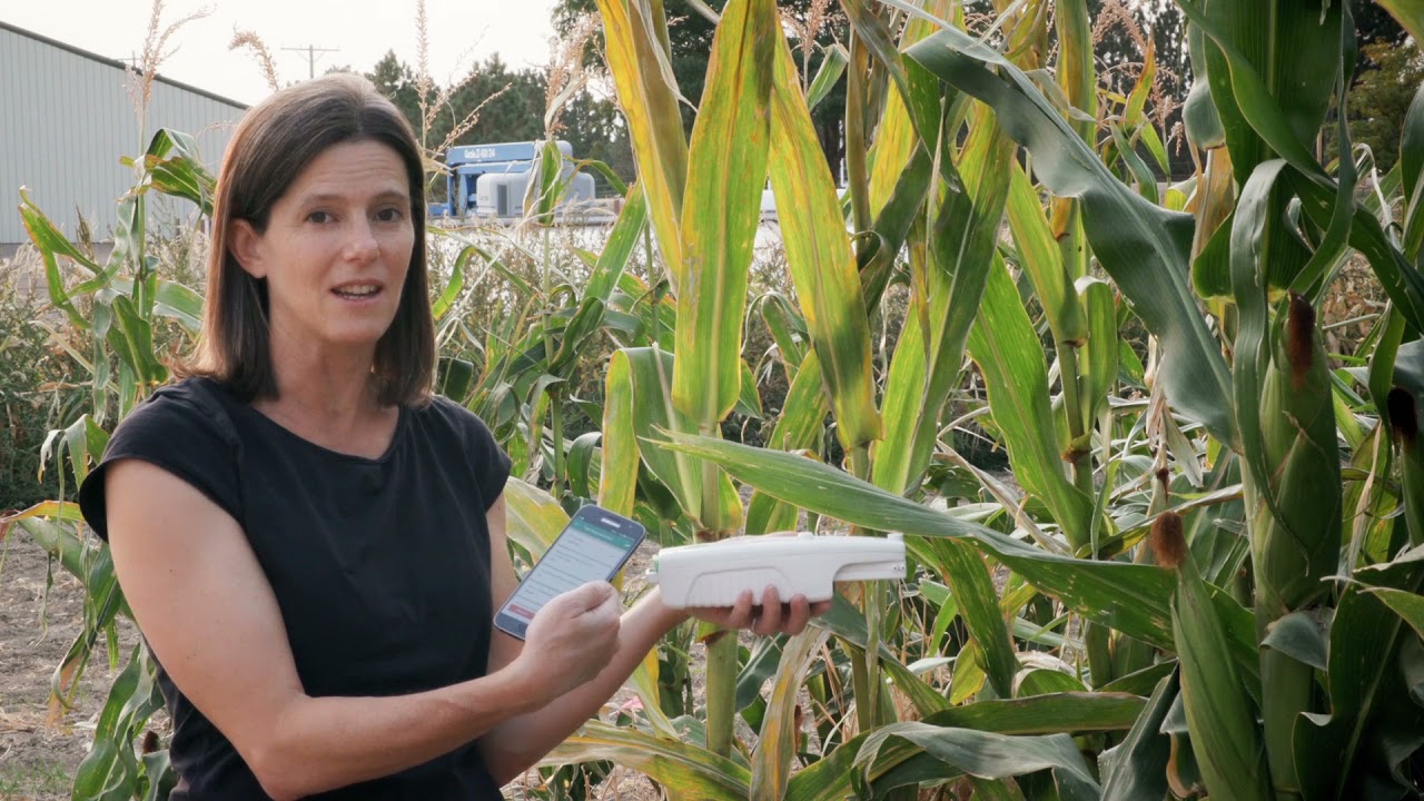 Measuring Photosynthesis | Colorado Field Crop Tour