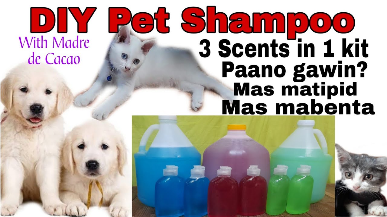 Homemade Pet Shampoo with Madre de Cacao