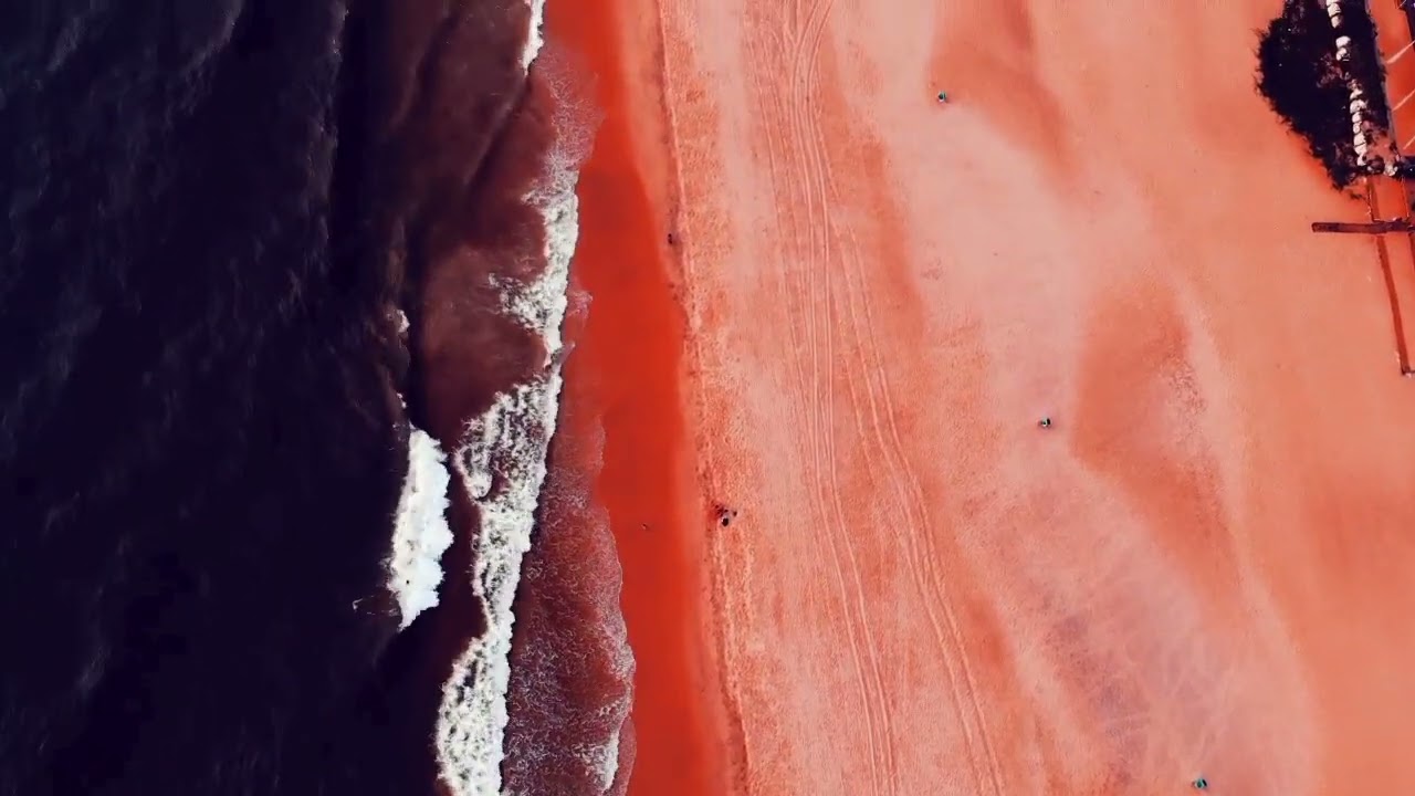 Todavia @NickyJamTV @Maluma_Official @beele #music #hit #love 