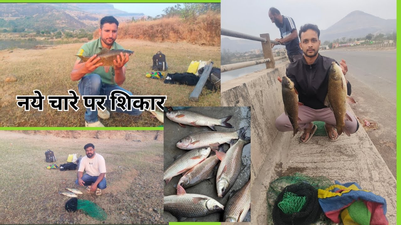 नये चारे पर रोहू की शिकार #carpfishing #viralvideo #youtubevideo #fishingbait 