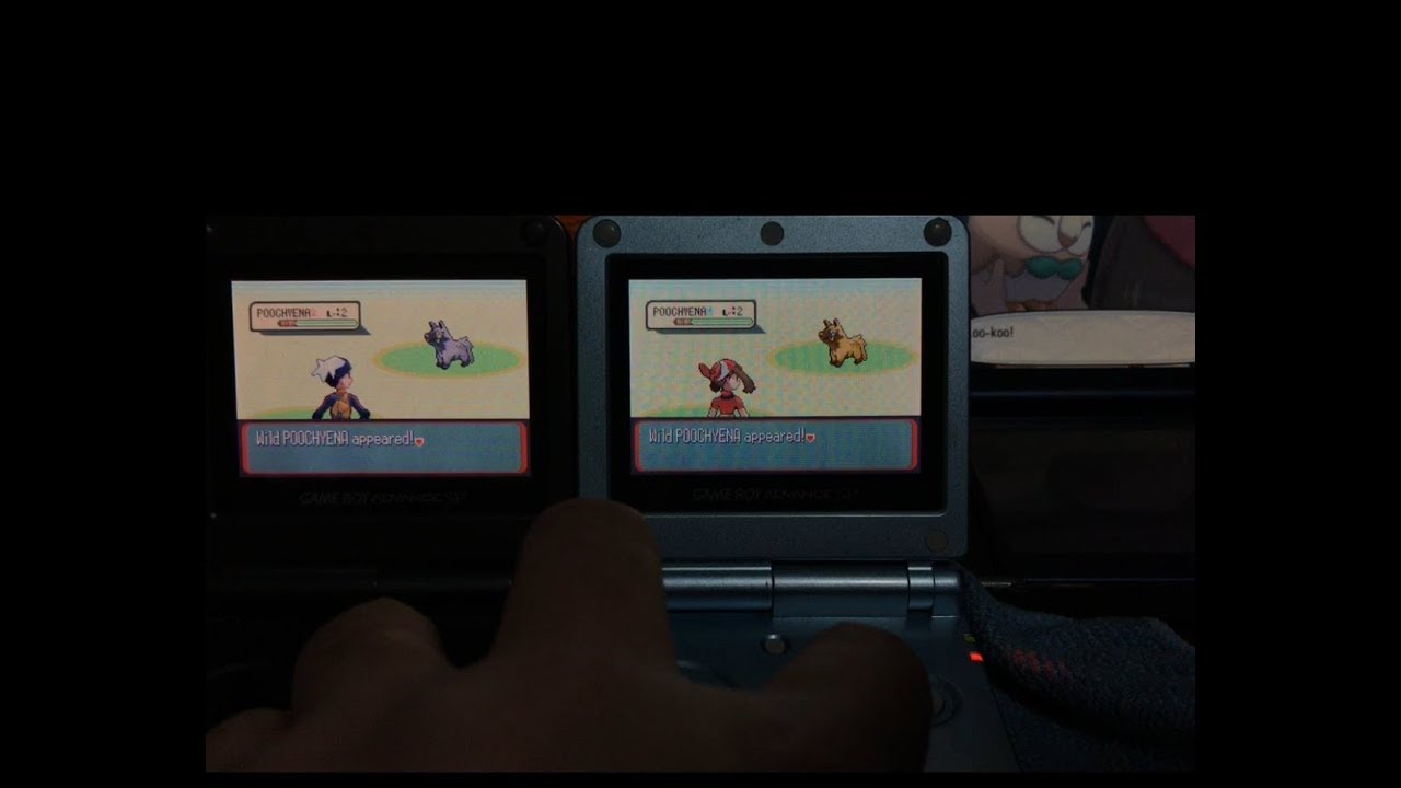 LIVE!! Uncatchable Shiny Pooch after 5,540 SRs (3rd) - Pokemon Sapphire