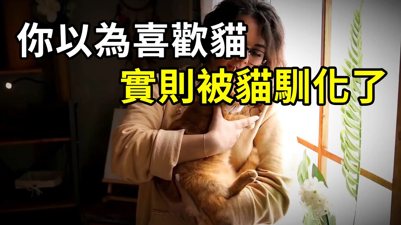 你以為喜歡貓？實則被貓馴化了！ | #紀錄片 #有趣  #知識  #生物