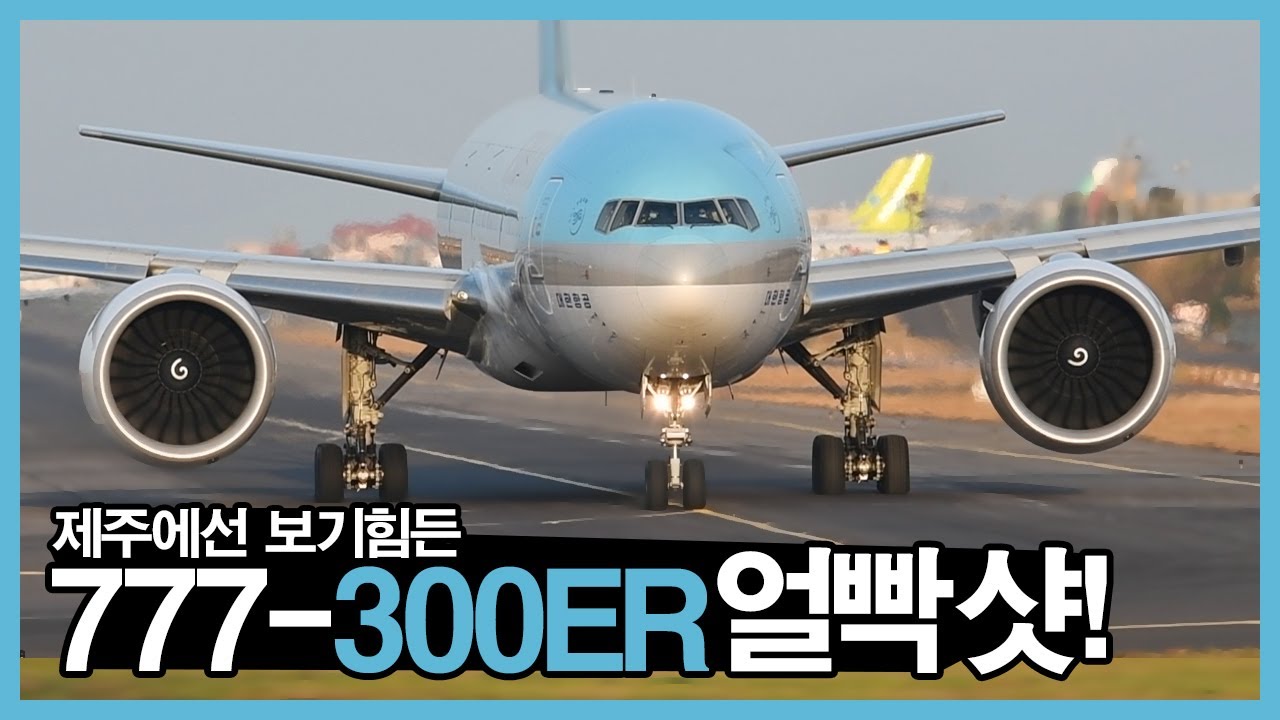 늦은 오후 제주공항 스포팅 A leisurely afternoon sunlit Jeju airport