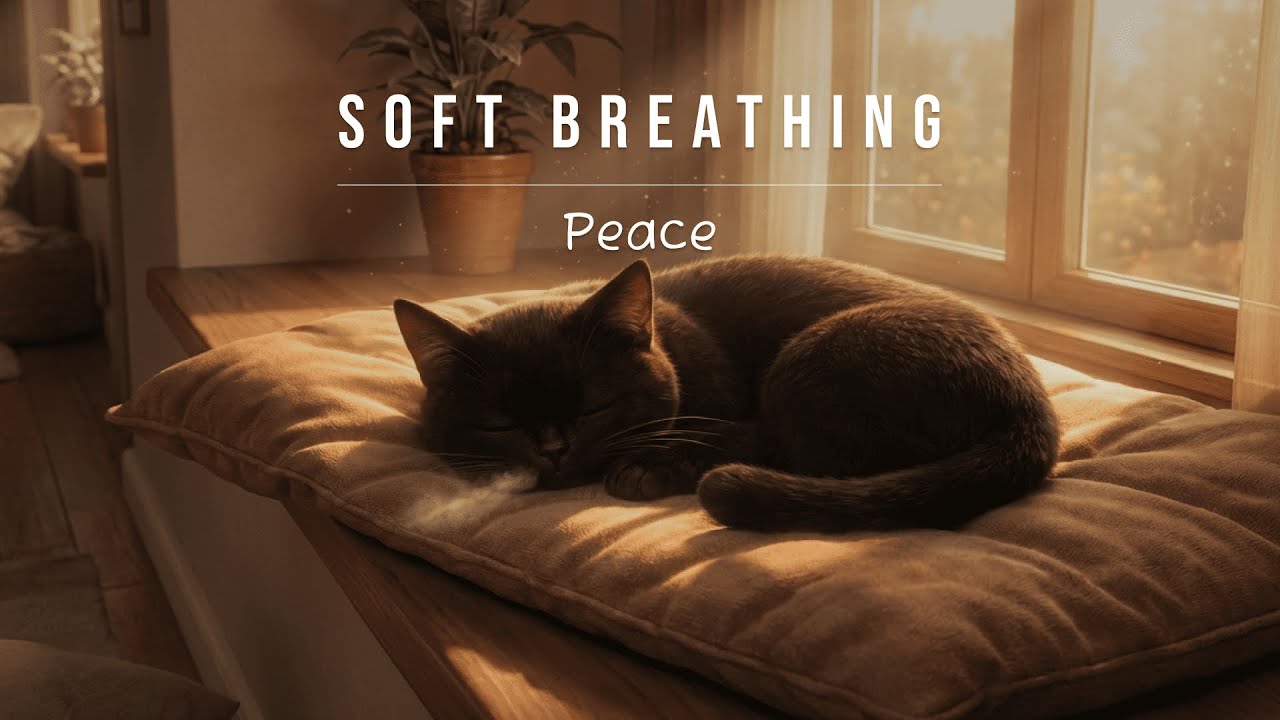 Soft Breathing 🌬️😴 | Gentle Ambient Music for Relaxation & Rest