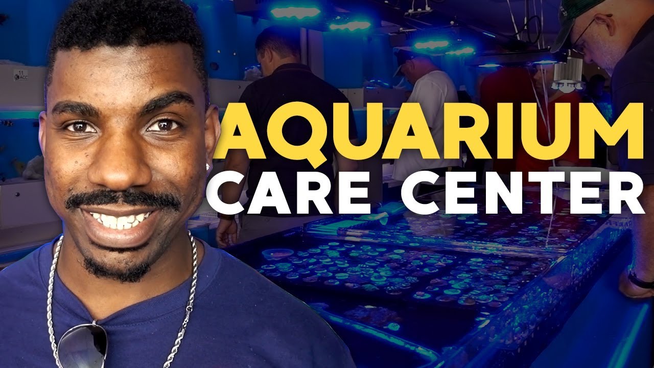 FUN DAY! Corals, Fish, Art @ Aquarium Care Center in NJ!!