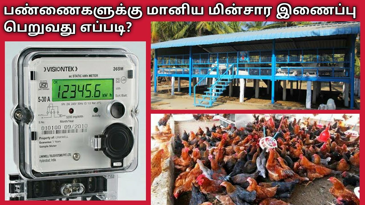 மானிய விலையில் மின்சாரம் ! ஆடு, கோழி, மாட்டு பண்ணைகளுக்கு | Poultry EB Tarrif