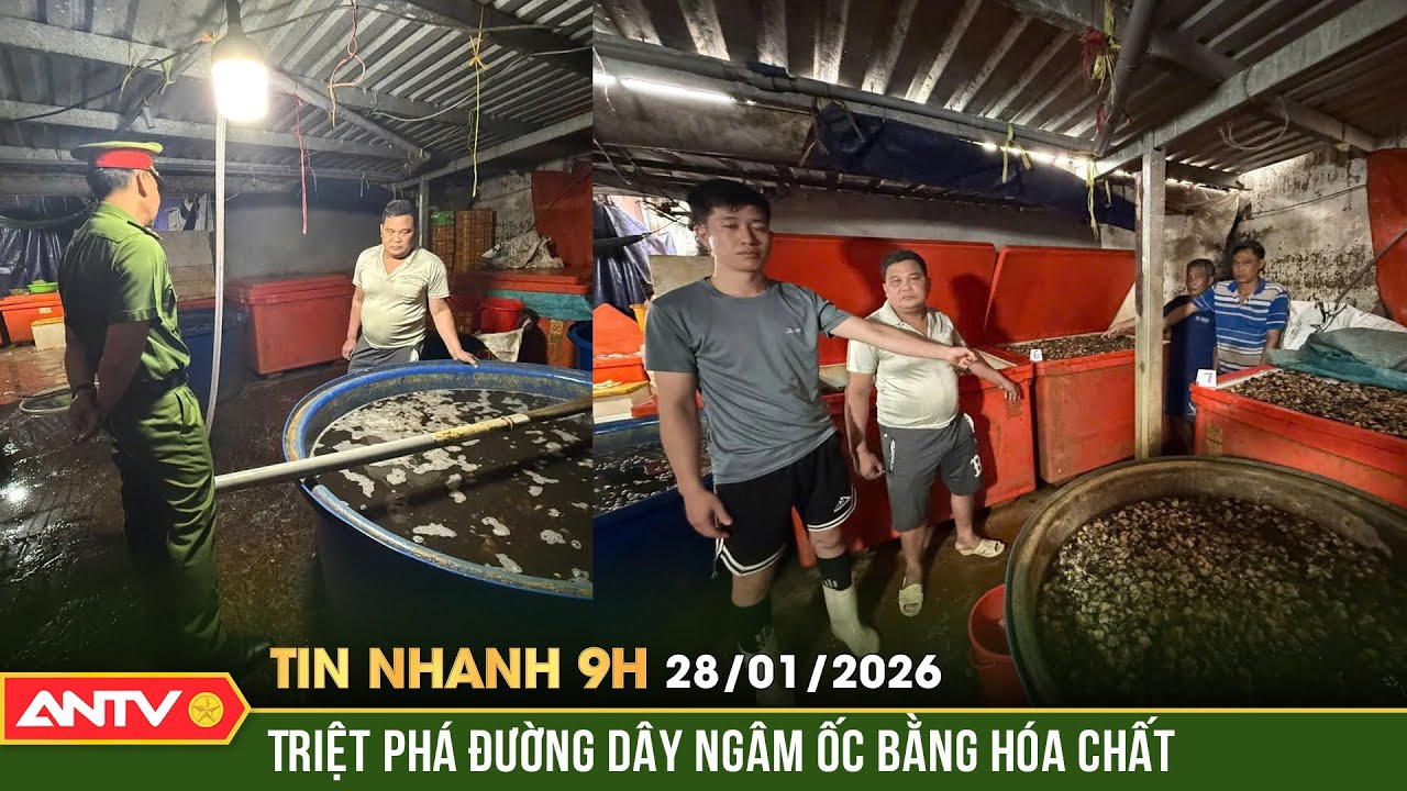 Tin nhanh 9h ngày 28/1: Rùng mình về 