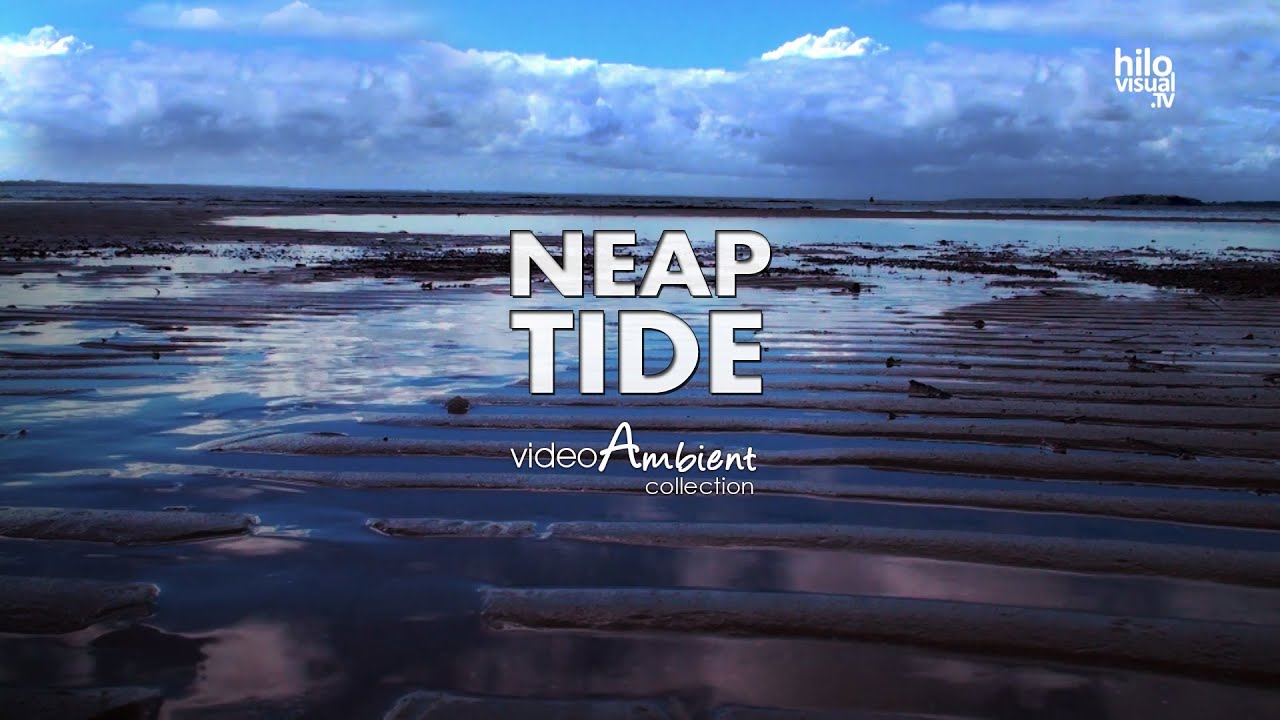 Neap Tide