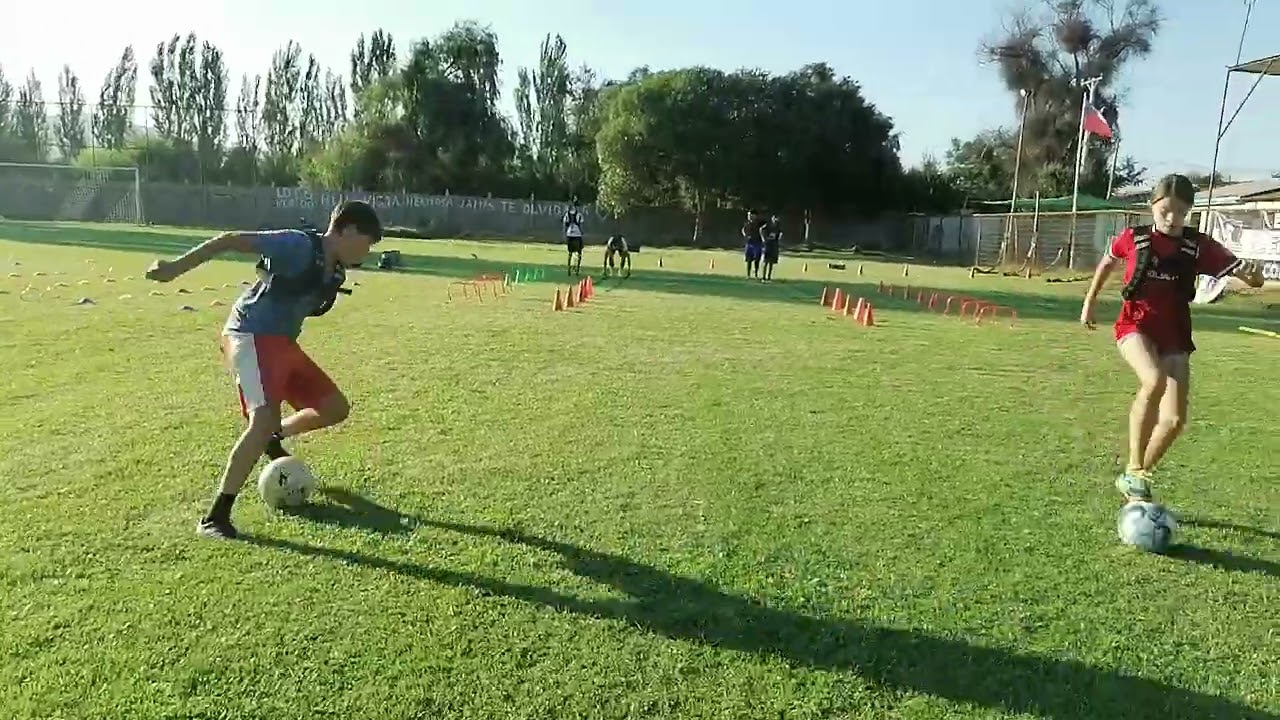 Preparador físico profesional agreditado inaf Chile Manuel Morales Escuela colo colo Maria pinto 