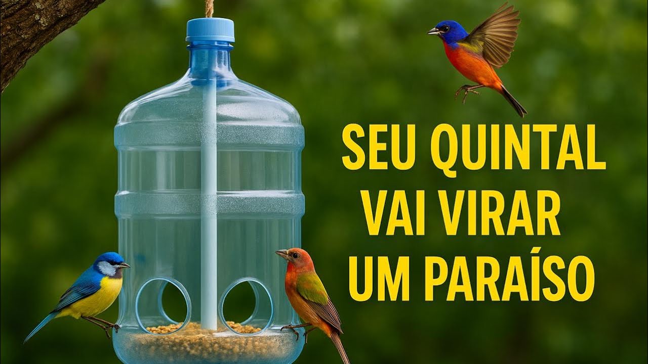 Comedouro fácil que deixa seu quintal um paraíso de pássaros! #pássaros #quintal #natureza 