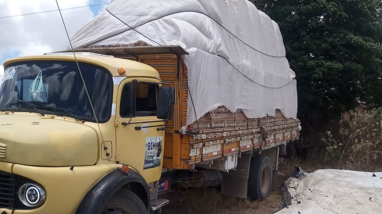 Vamos começar a fortalecer bagaço de cana pras vacas leiteiras 