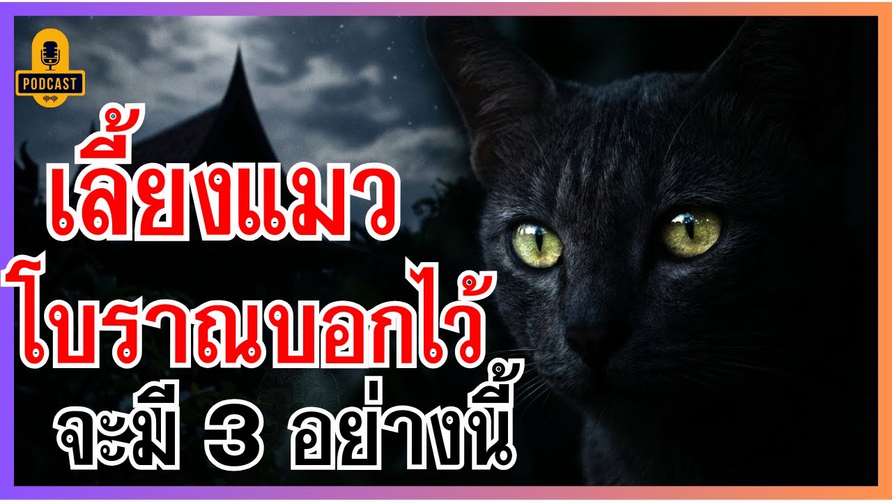 โบราณว่าไว้! ใครเป็นทาสแมวต้องรู้ 3 สิ่งนี้มีติดตัวแน่นอน ฟังแล้วชีวิตเปลี่ยน |  #ธรรมเบาใจ