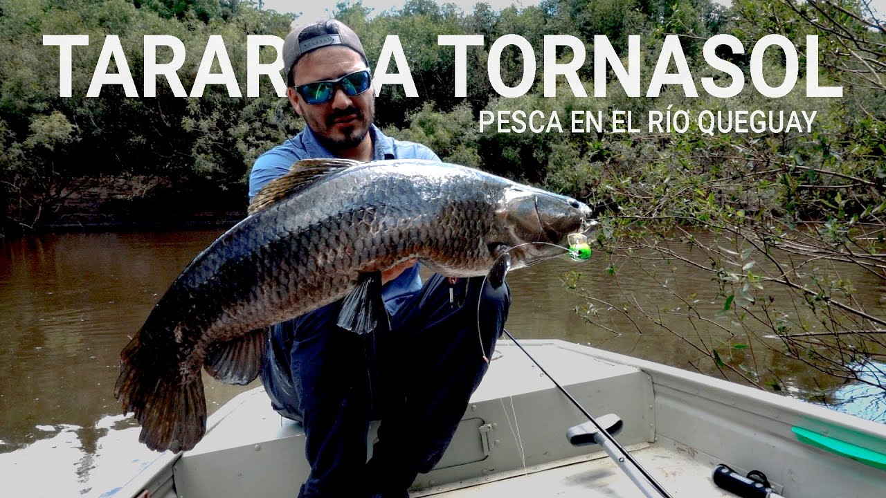 Pesca en un lugar soñado 🇺🇾 PARAISO TORNASOL