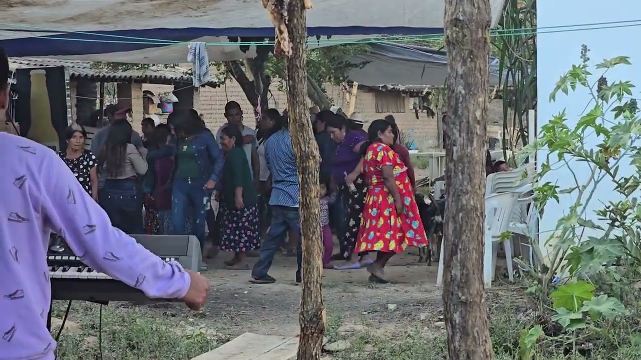 Asi sebaila la rasa bonita de San Miguelito Guerrero Con Los Elegancia De la Mixteca🍀🍓🫡✌️