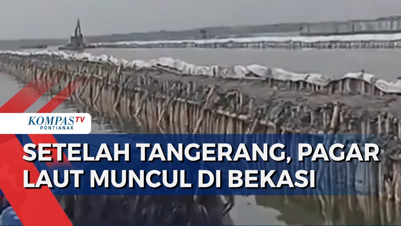 Selain di Tangerang, Pagar Laut Sepanjang 8 KM Ditemukan di Bekasi