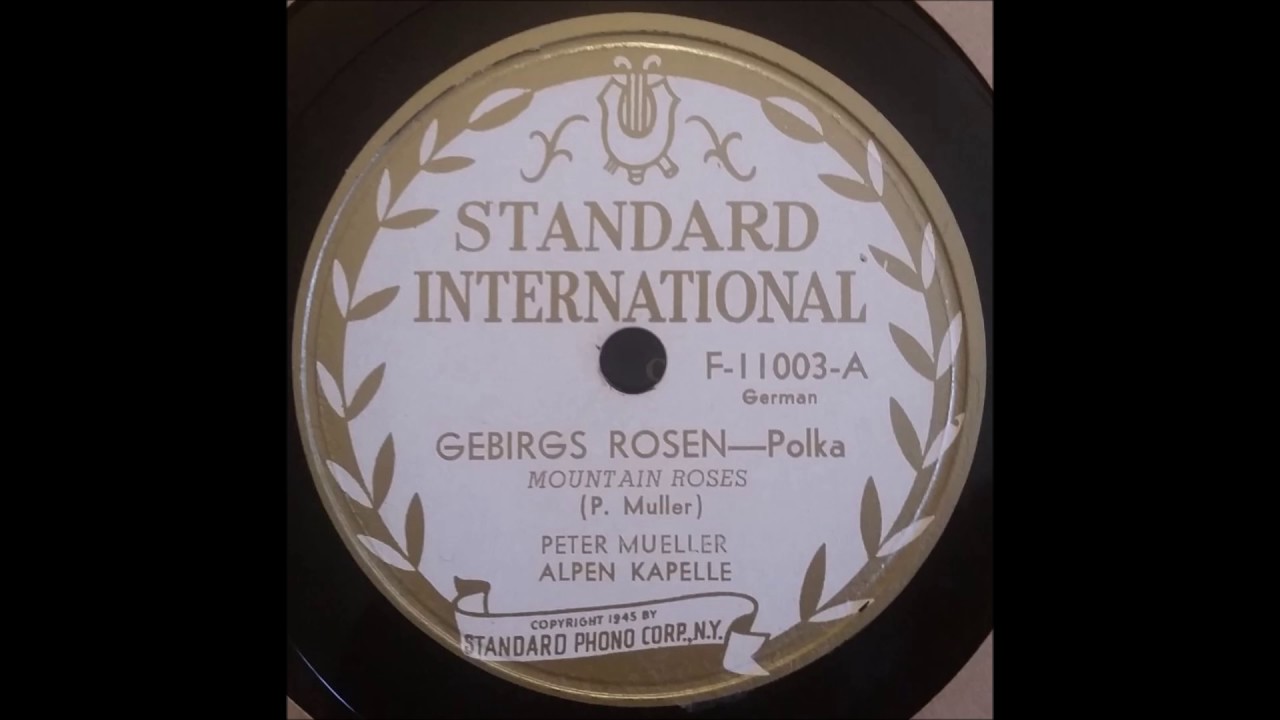 Gebirgs Rosen