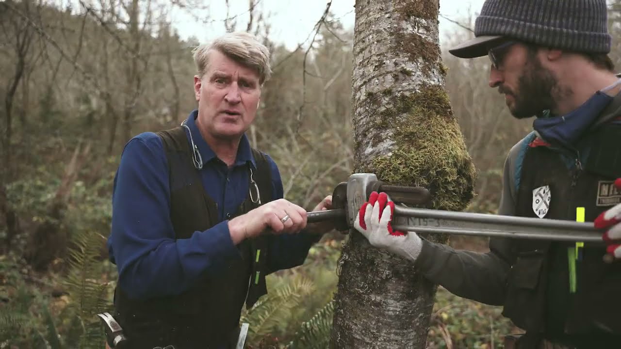 Оборудование для Tree Fort: установка болта (TAB) для крепления домика на дереве