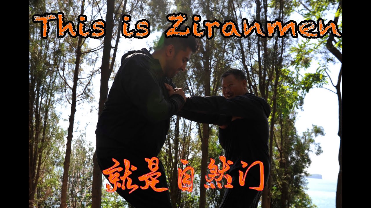 Ziranmen Gongfu 自然门功夫