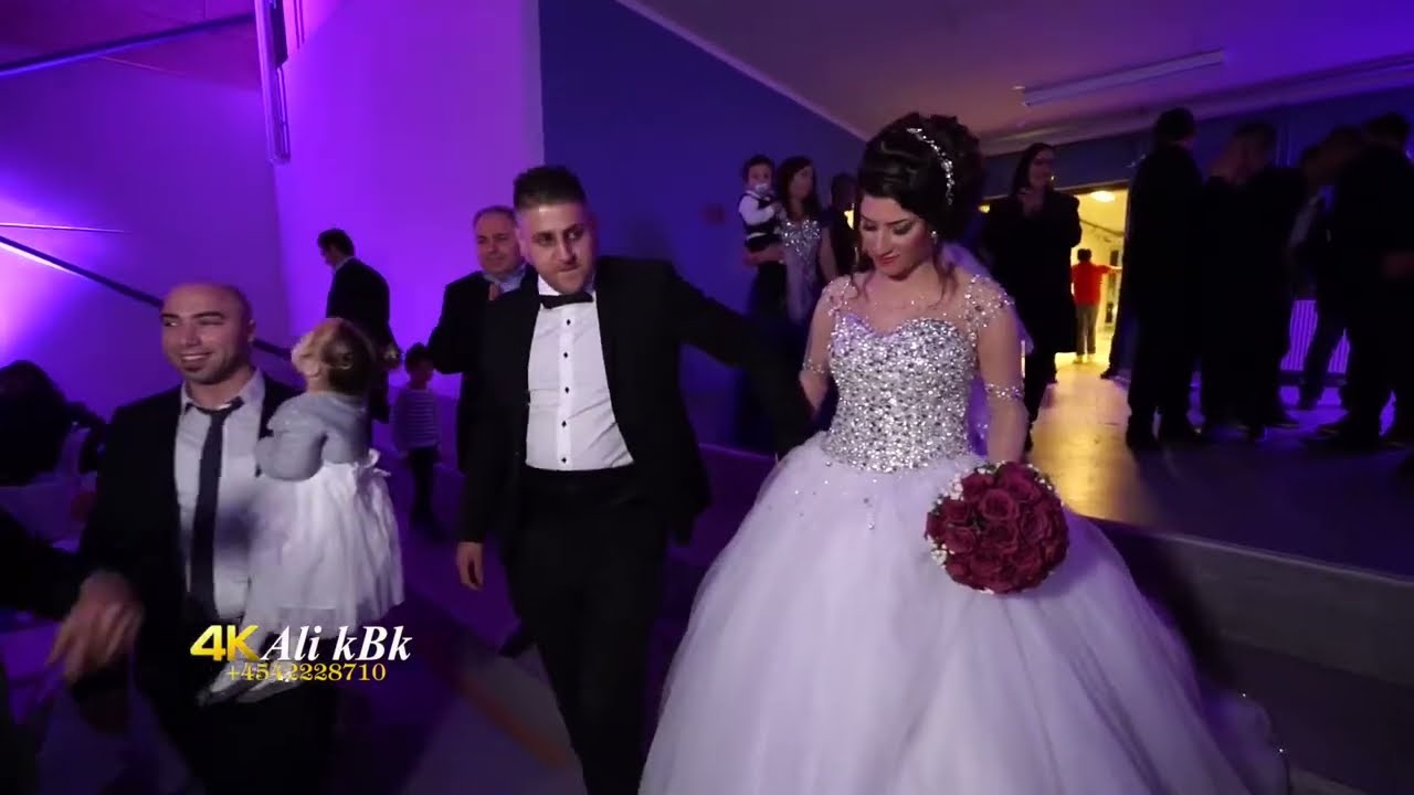 اذاد فقه. عرس ابو كارو في دنمارك