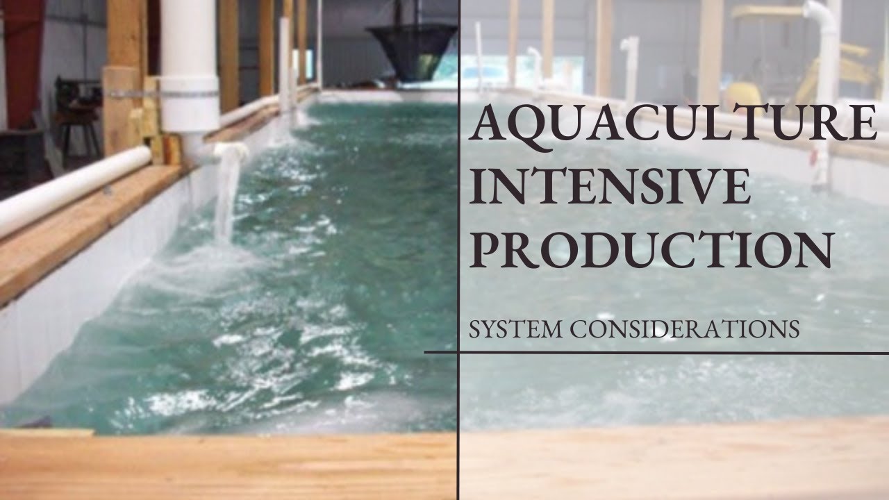 Considerations for Intensive Aquaculture