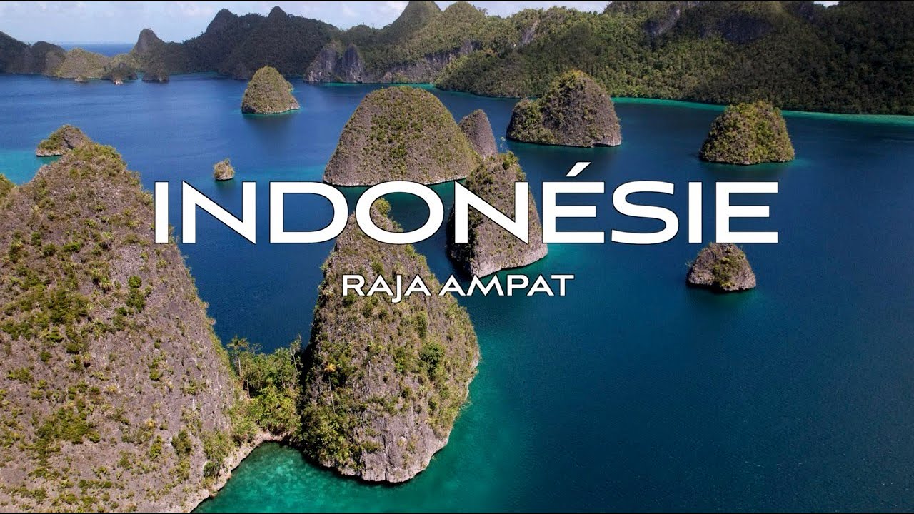 RAJA AMPAT, Indonésie