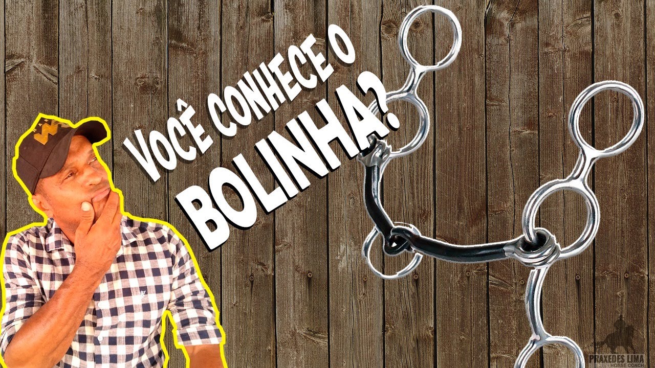 VC CONHECE O FREIO BRIDÃO LEVANTADOR BOLINHA ? O BOLINHA.