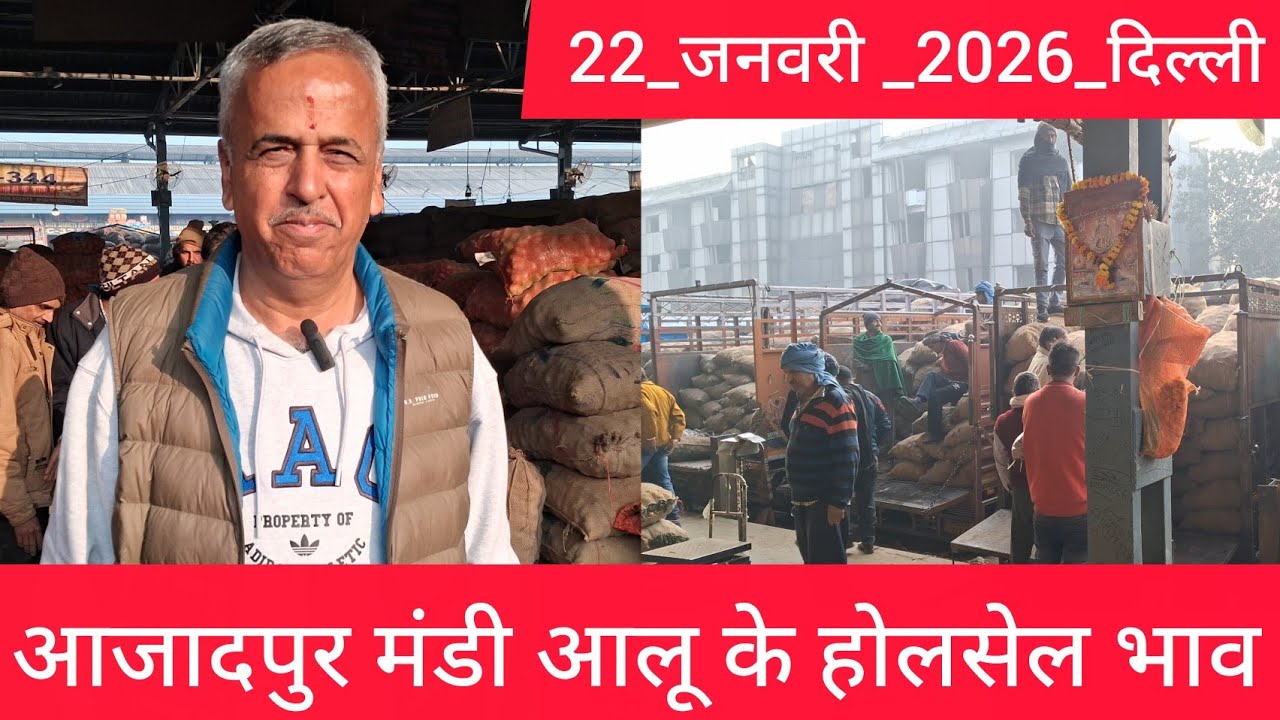 January 22, 2026 दिल्ली 🥔आलू के भाव Azadpur Delhi mandi today #PotatoMarket #delhipotatomarket 