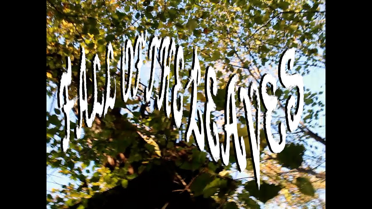 Club Casualties - Fall Of The Leaves (Official Music Video)