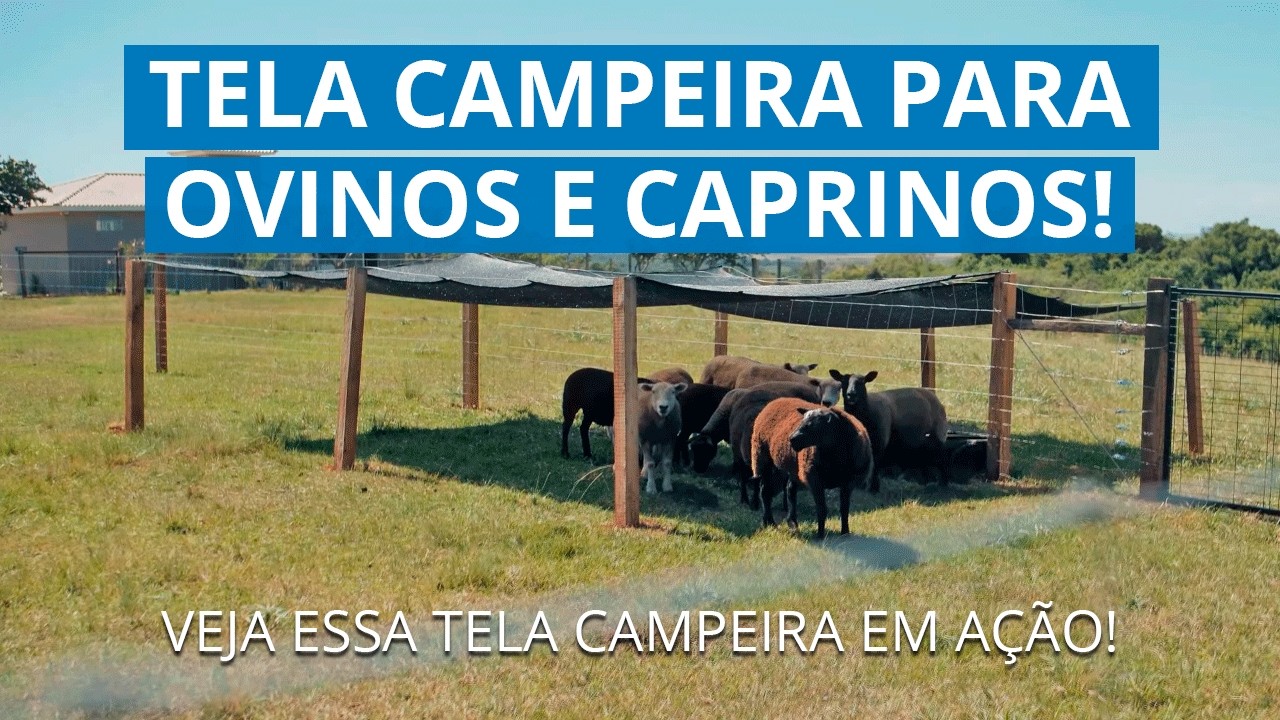 Tela Campeira para Ovinos e Caprinos | A Cerca Rural Ideal em Ação