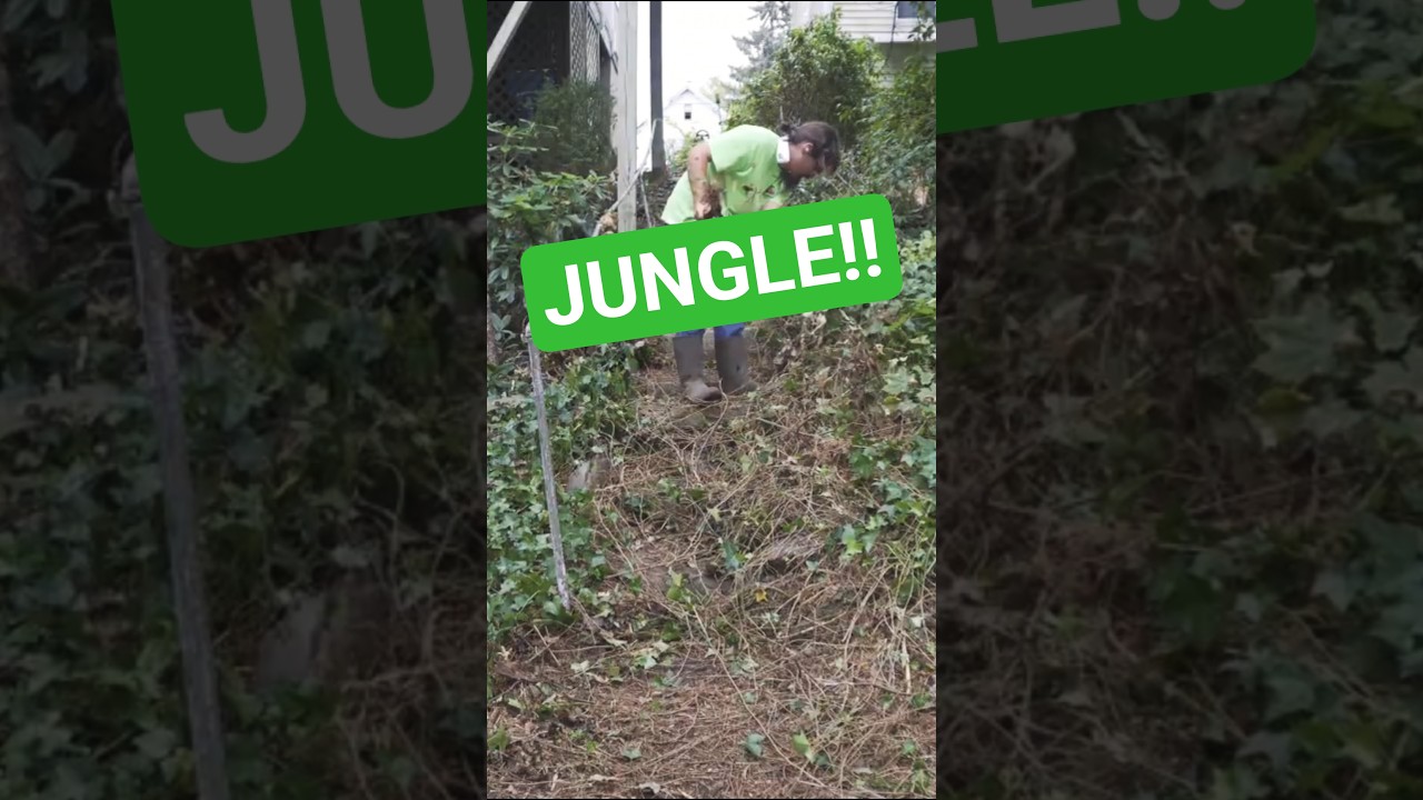 Full video on my channel :) thanks