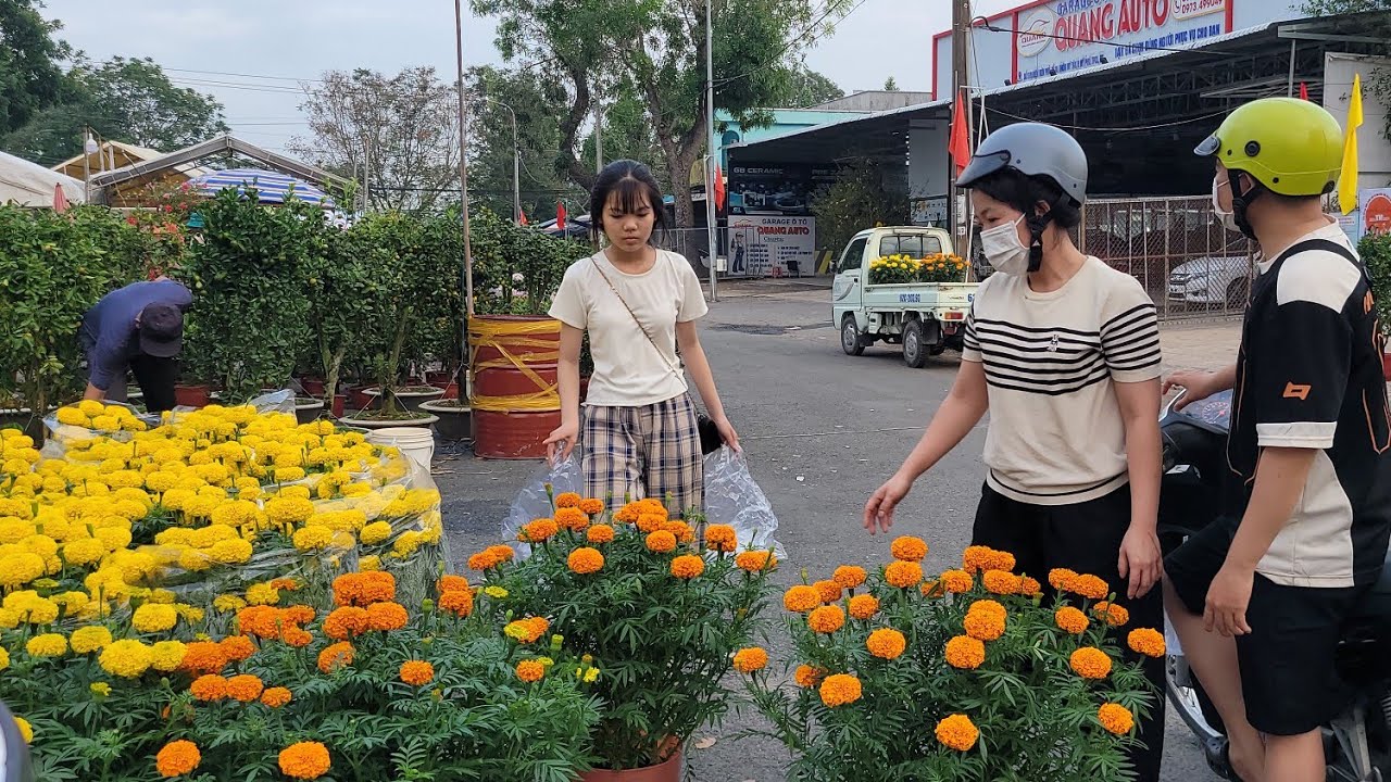 Bùng nổ chợ hoa tết Cao Lãnh 2026- Hoa đổ bộ rực sắc, bất ngờ giá hoa siêu rẻ