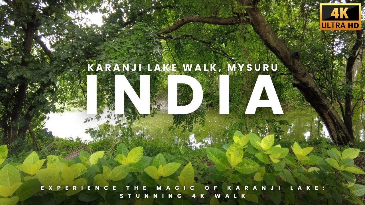 India Travel 4K, Karanji Lake Mysore India: 4K Walking Tour, Birds, Nature
