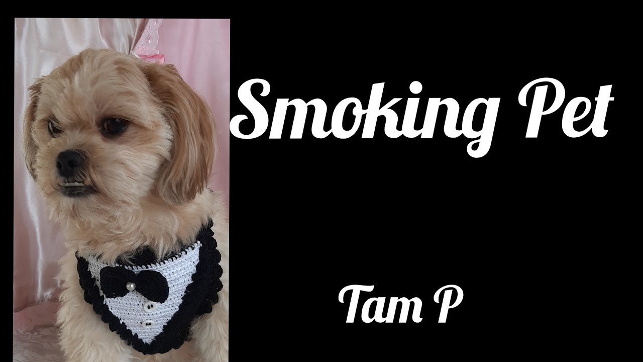 Como Fazer um lindo Smoking Pet/How to make a cute Pet tuxedo 🐶🐕👔❤