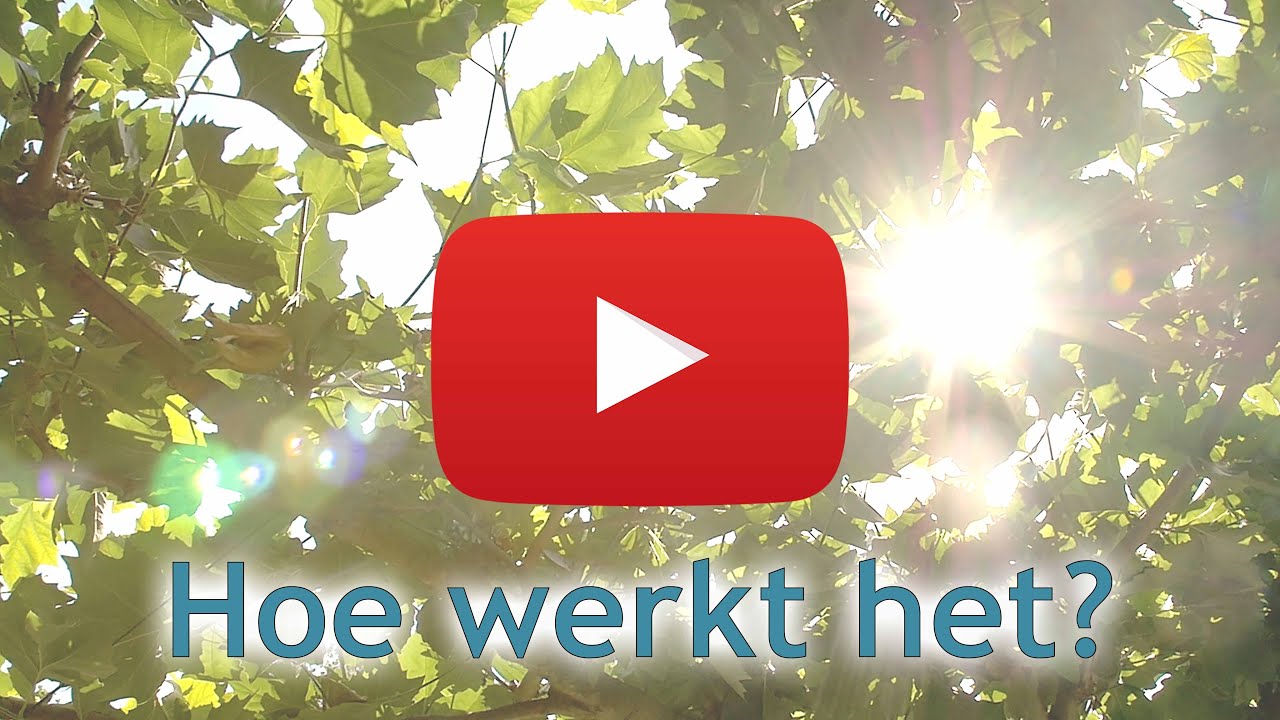 Hoe werkt Voice Dialogue? | Voice Dialogue Academie