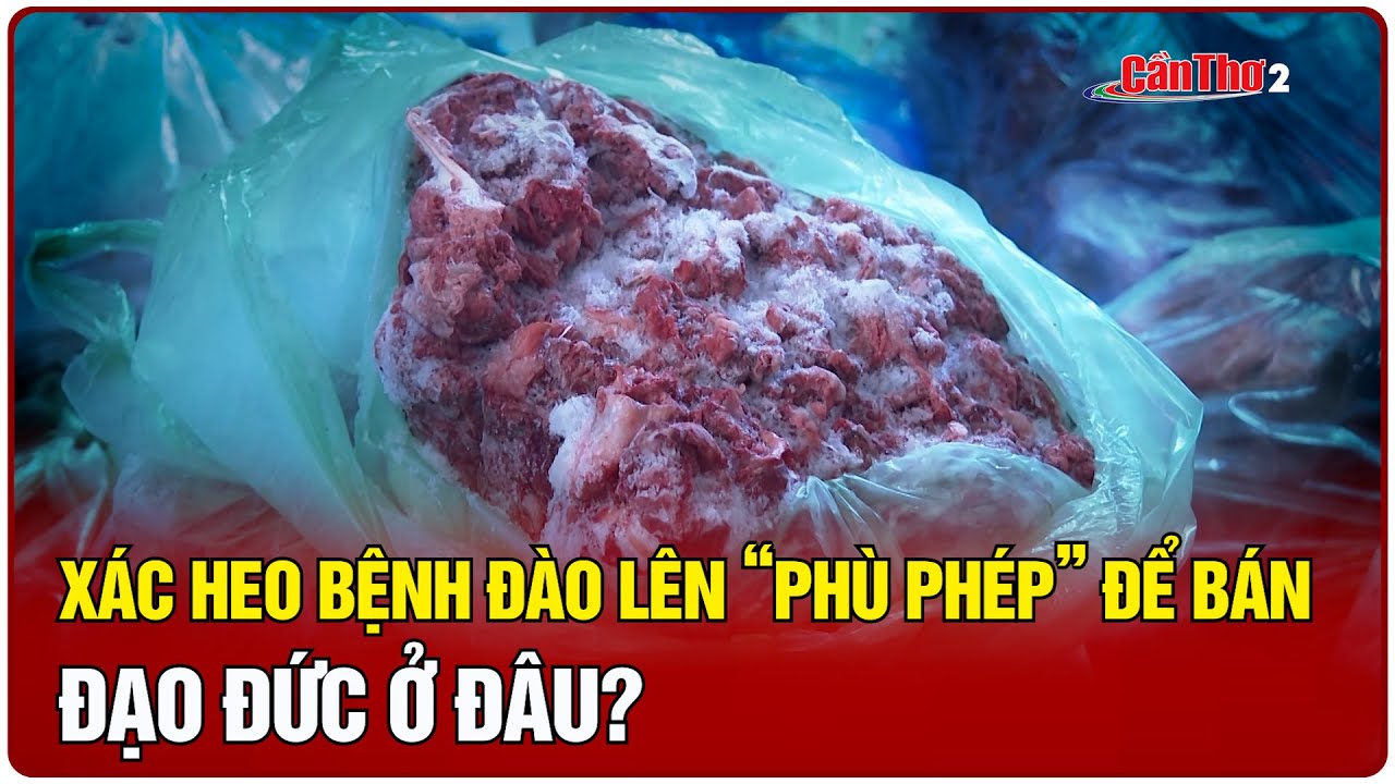 Xác heo bệnh đào lên “phù phép” để bán: đạo đức ở đâu?  | Cần Thơ
