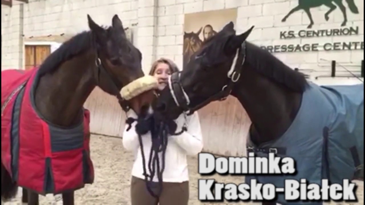 Cavaliada  Poznań 2017 - Zapraszamy